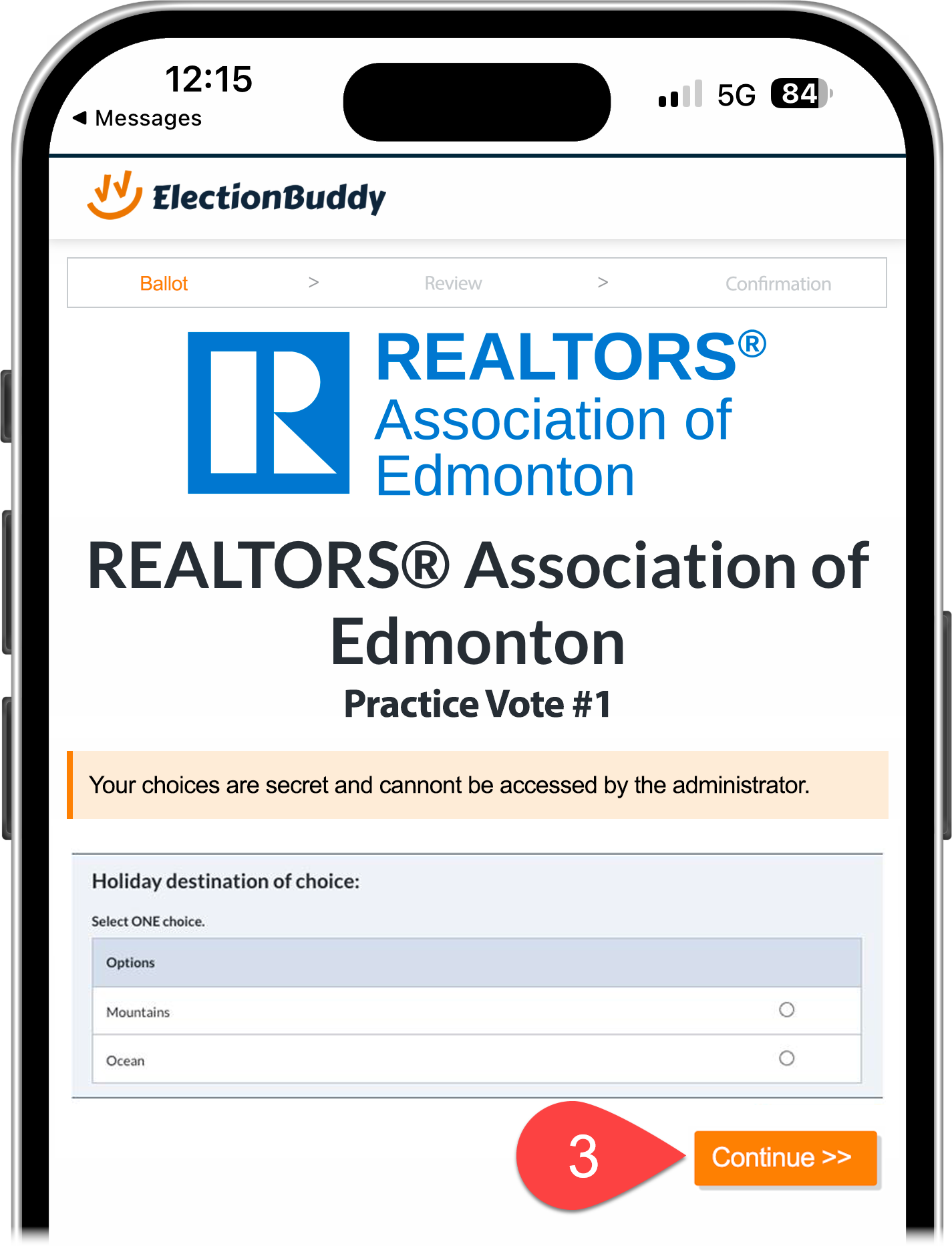 3. Ballot - Select choice then continue.png